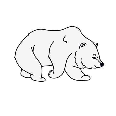 Actualizar Images Dibujo Oso Polar Para Colorear Viaterra Mx