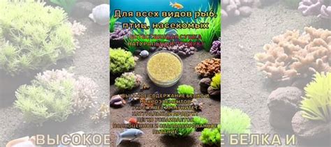 Дафния сухая для аквариумных рыбок купить в Астрахани | Животные и ...