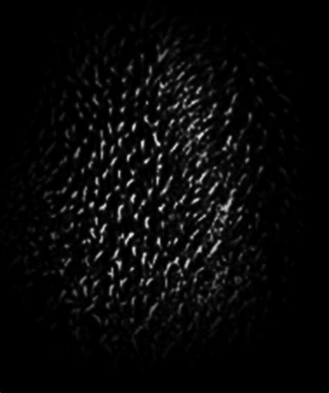 Zbrush Skin Texture Alpha Mzaerlaw