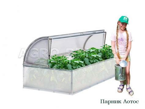Купить хороший парник дешево. Парники доставка