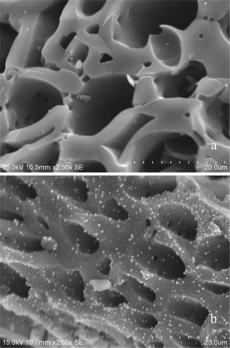 Surface Morphology Of The Activated Carbon A Before And B After