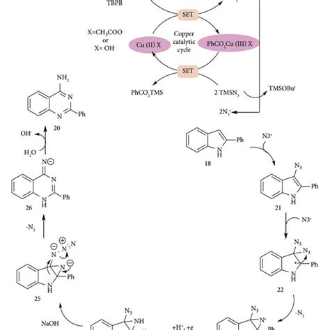 The Plausible Mechanism For The Synthesis Of 2 Arylquinazolin 4 Amines