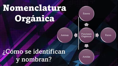 Nomenclatura Org Nica Como Se Nombran Los Teres Steres Amidas Y