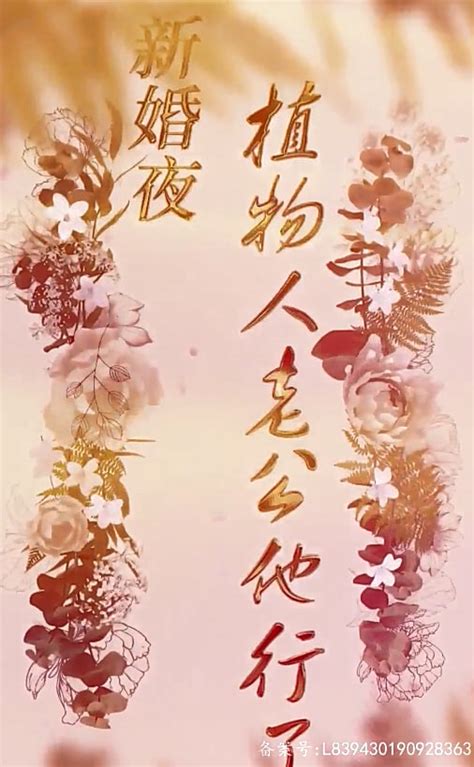 《新婚夜，植物人老公他行了【1 4合集】》 1 100集 傅寒洲 辛依免费观看短剧 一起看影院yqkapp