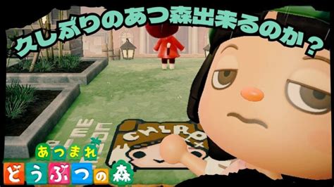 【あつまれどうぶつの森】久しぶりのあつ森できるかな？作業配信＃どうぶつの森あつ森 あつ森 動画まとめ