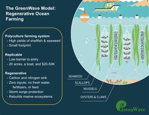 Innovations In Agriculture Climate Action