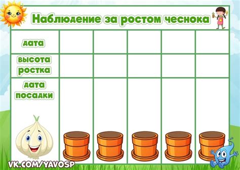 Дневник наблюдений за огородом на подоконнике 2025 | Я - воспитатель ...