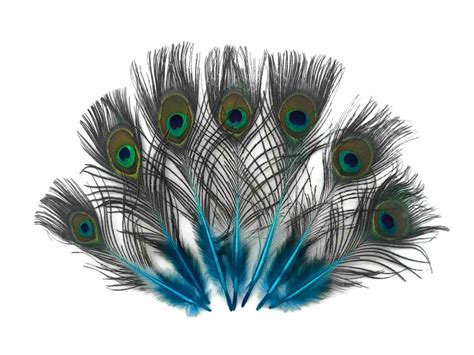 Plumas De Pavo Real 10 Azul Turquesa Mini Natural Plumas De Cola De