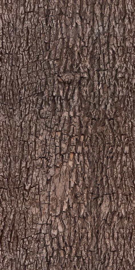Tree Bark Texture Pattern By Ivangraphics On Deviantart