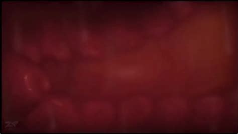 How It Works XVIDEOS