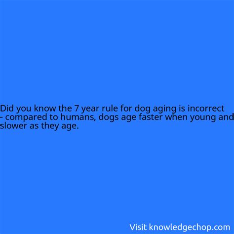 year rule  dog aging  incorrect compared  humans dogs age faster  young