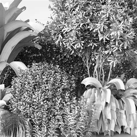 Group Of Outdoor Trees Plants 3d Model Cgtrader