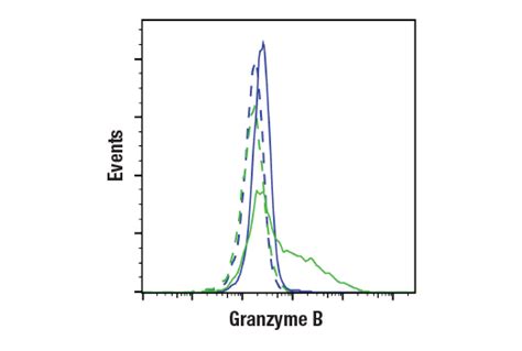 Granzyme B E5v2l Rabbit Mab Bsa And Azide Free Cell Signaling