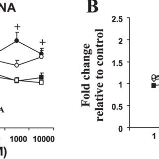 Igf Binding Protein Igfbp Expression In S Primary Prostate Stromal