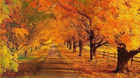 Autumn Farm Scene Wallpapers Wallpaper Cave