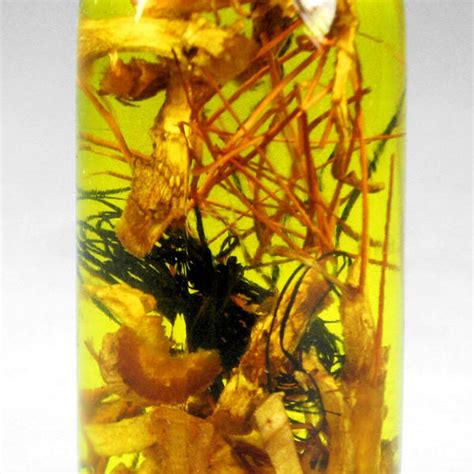 Thai Black Magic Voodoo Amulet Erotic Love Sex Charm Etsy