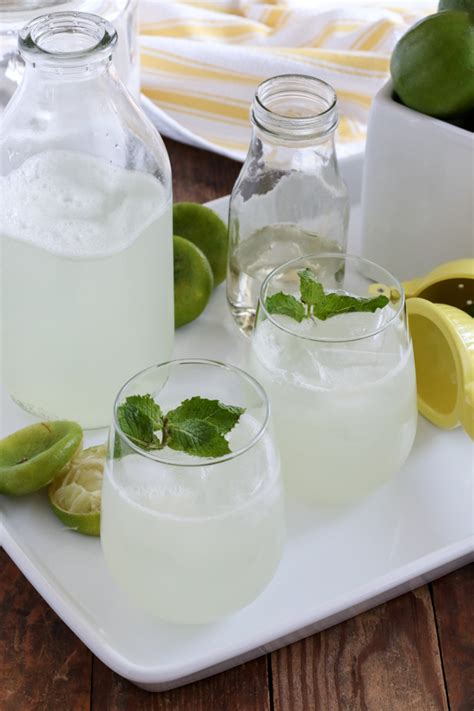 lime rickey | tasty seasons