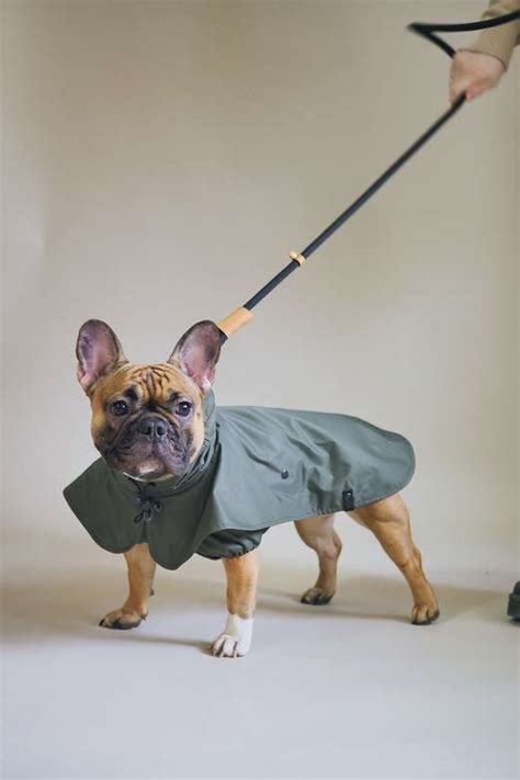 Автокресло-Пони чёрное | Dog raincoat, Dog clothes, Dogs