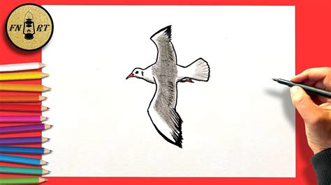 How To Draw A Seagull Flying Step By Step Easy Youtube