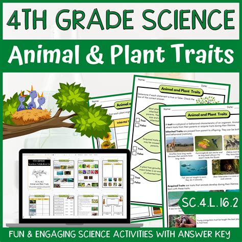 Ch 22 Plants Answer Key 2