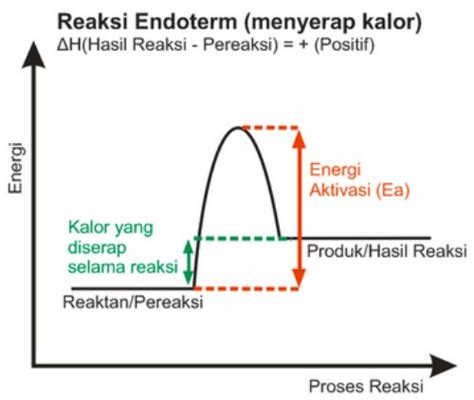 Reaksi Endoterm Lengkap Contohnya Rumus Kimia
