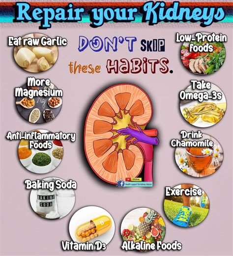 Kidney cleanse juice – Artofit