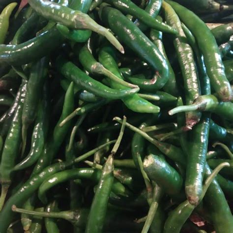 jual cabe ijo besar shopee indonesia