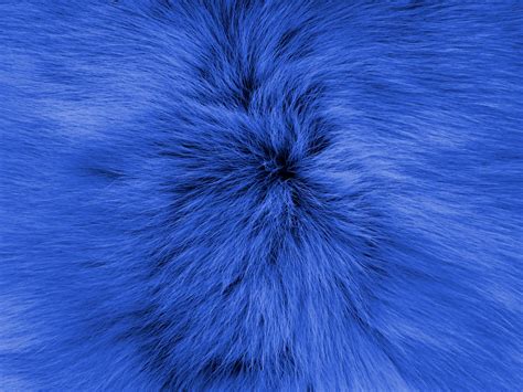 Bluebackgroundsfurfurryeffect Free Image From