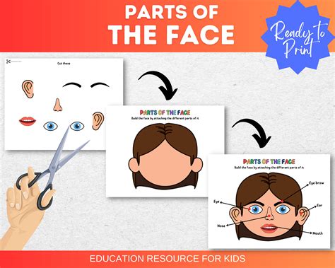 Face Parts To Print