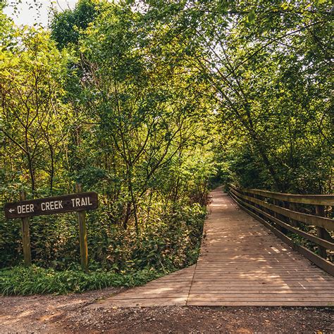 Frick Park Trail Running