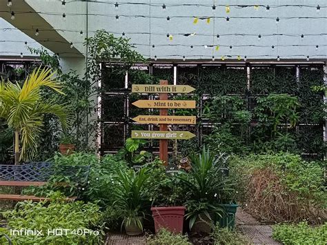 Infinix Hot Pro Review Free Fire Edition Budget Gaming Royalty