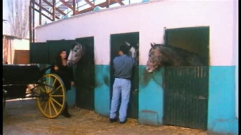 Hakan Serbes Porn Videos 2025 Porn Star Sex Scenes XHamster