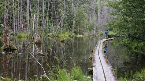 Chilkoot Trail - Alchetron, The Free Social Encyclopedia