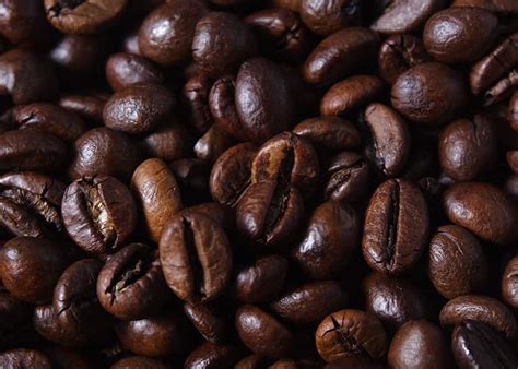 What Is Robusta Coffee Robusta Vs Arabica 12 Differences Enjoyjava