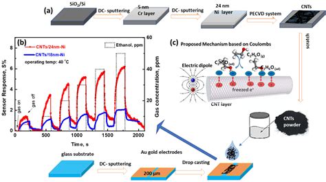 Chemosensors Free Full Text Gases In Food Production And Monitoring