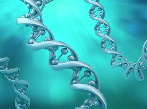 Dna Molecules Photograph By Andrzej Wojcicki Science Photo Library Pixels