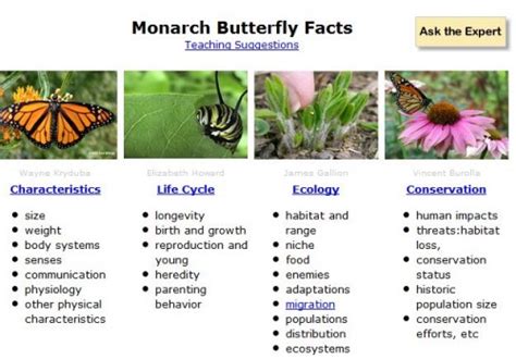 Citizen Science In The Classroom Monarch Migration Scistarter Blog