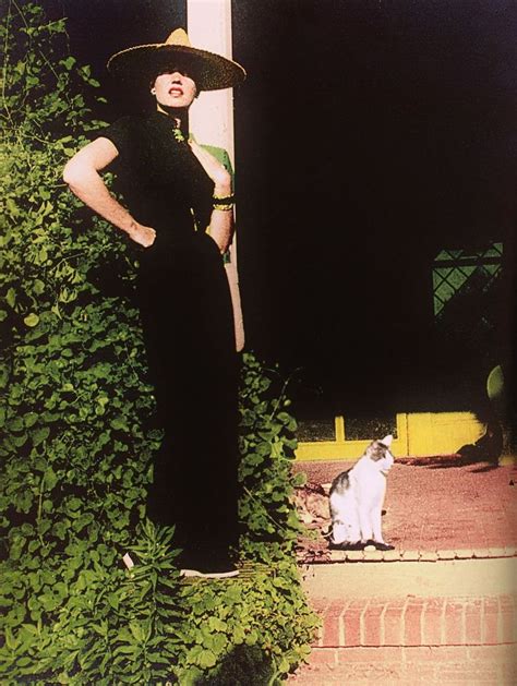 Edie Beale | Grey gardens, Edie beale, Gray gardens