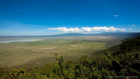 Safari Nei Migliori Parchi Del Nord Della Tanzania Pn4aystd