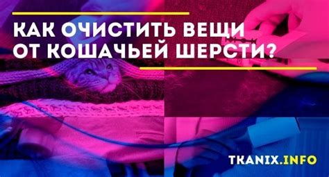 Как очистить вещи от кошачьей шерсти?