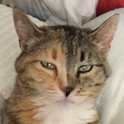 KingJax On Twitter Hey Babe Have You Jerked Off To Me Today Yet Twitter