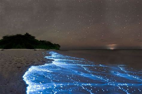 Pantai Di Malam Hari Homecare24