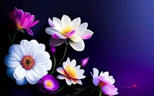 wallpaper full hd wallpaper
