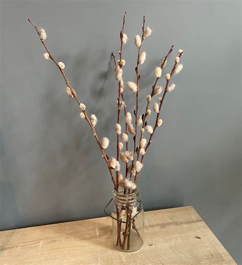 Felted Wool Pussy Willow Branches Rustic Spring Decor Easter And Passover Decorating Etsy