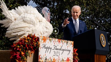 Biden Pardons Turkeys in Annual Thanksgiving Tradition - The New York Times