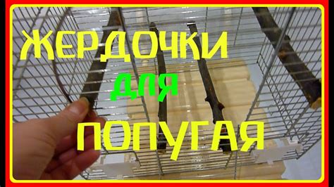 ЖЕРДОЧКИ ДЛЯ ПОПУГАЯ//УХОД И СОДЕРЖАНИЕ ПОПУГАЯ//ЖЕРДОЧКИ В КЛЕТКЕ//# ...