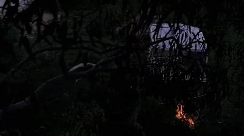 Preity Zinta Porn Videos