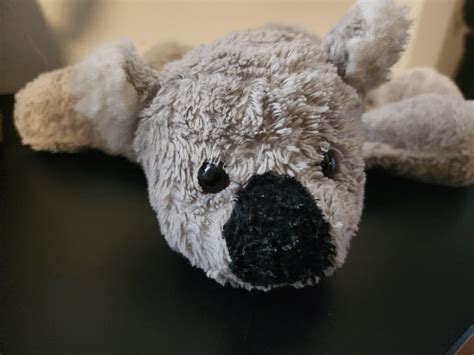 find early  koala bear toy rhelpmefind