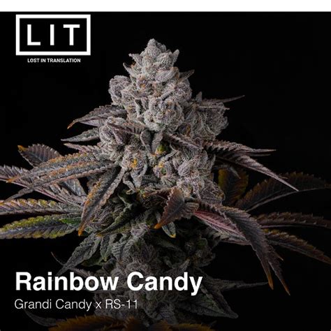 Lit Farms Rainbow Candy Half Pack Pre Sale Neptune Seed Bank Cannabis Strains