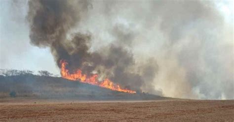 Los Incendios Forestales Y La Sequ A No Dan Tregua A Brasil